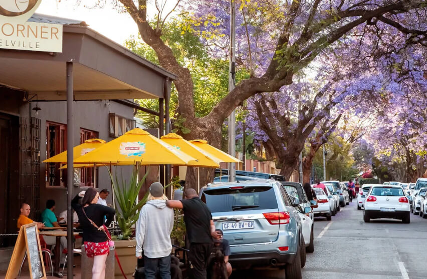 Hibiscus House - Melville Hibiscus House - Melville JHB